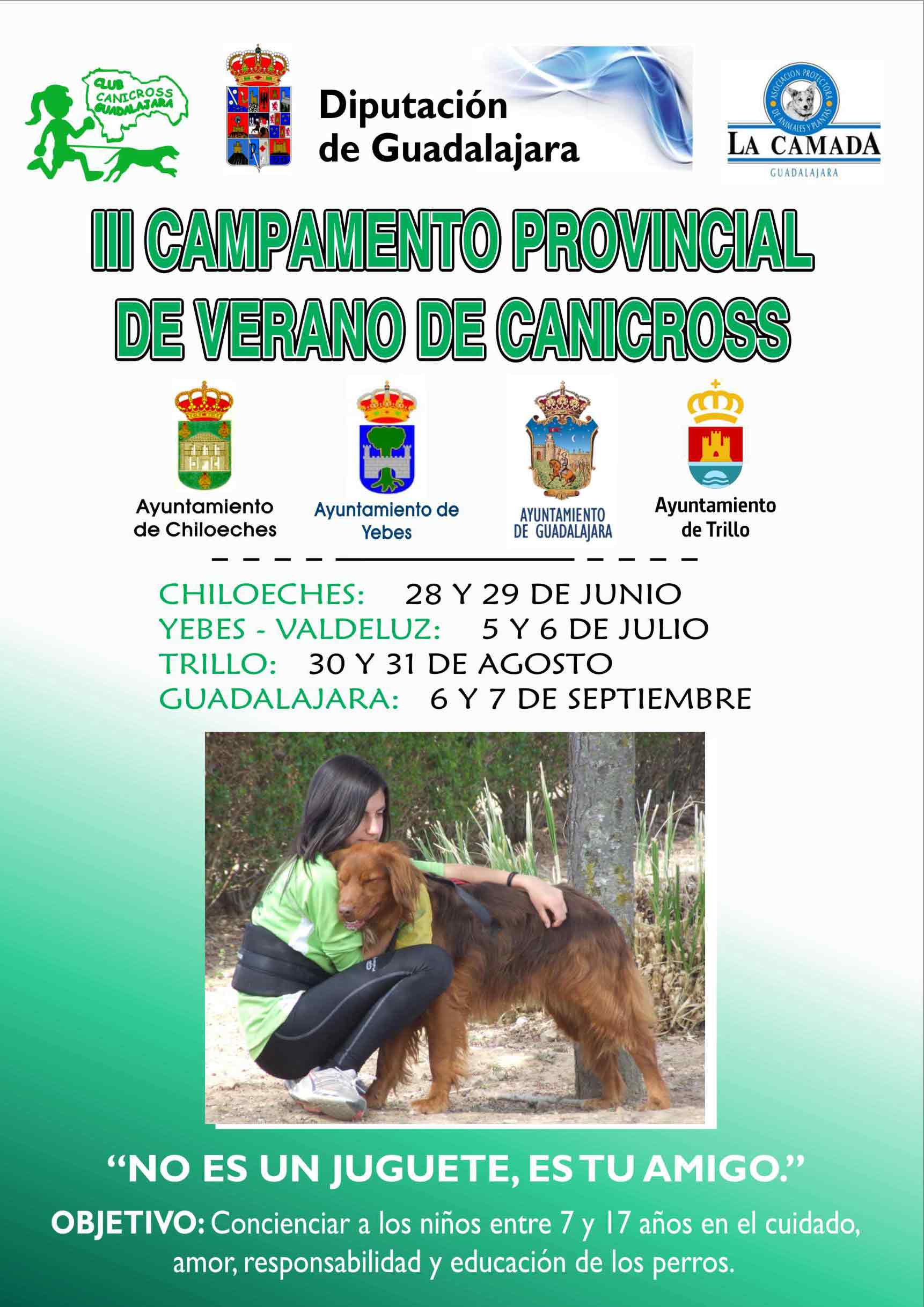 Poster campamento 2012