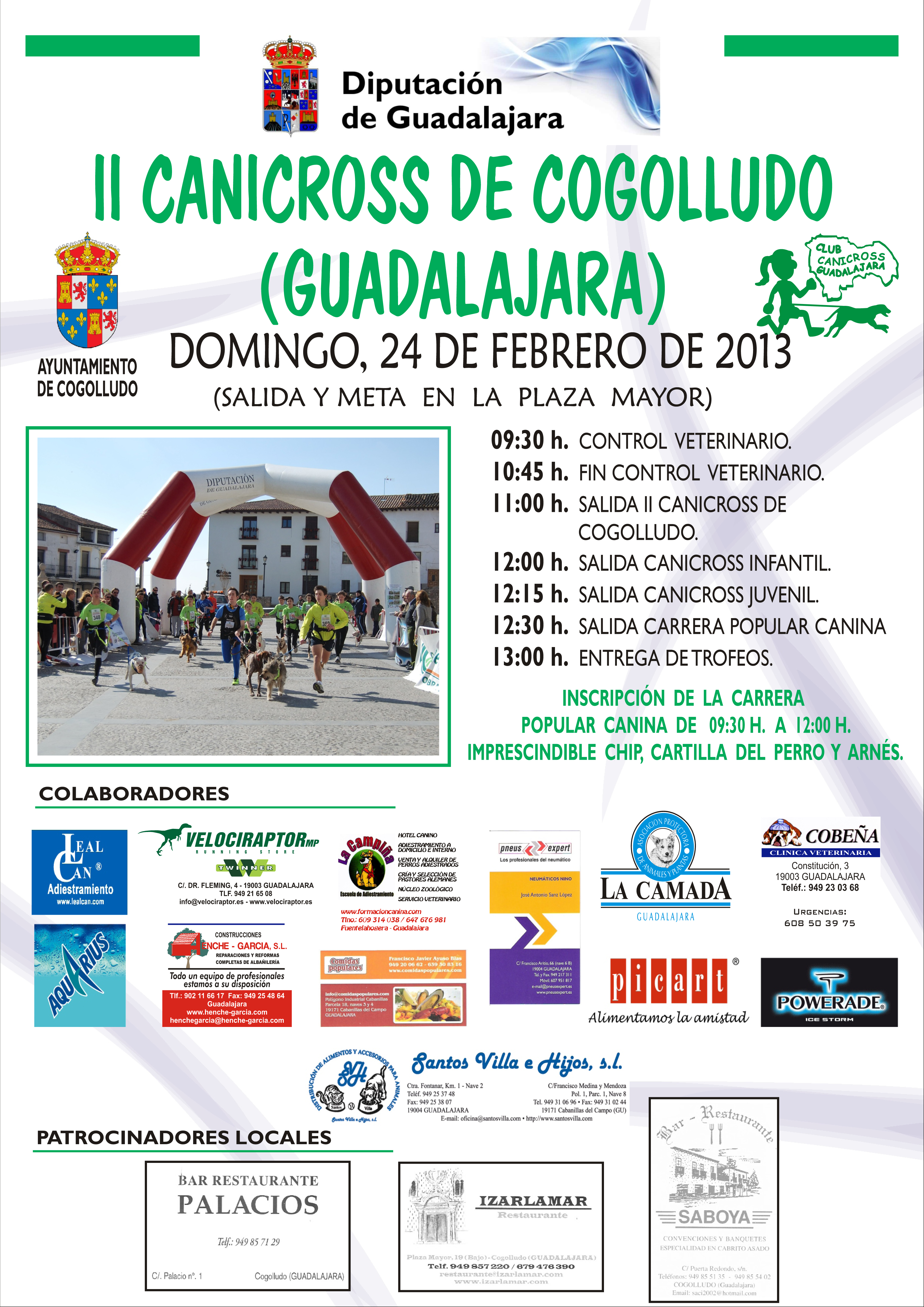 Poster Cogolludo