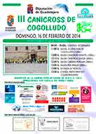 Poster Cogolludo